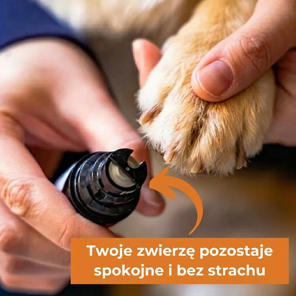 Cichy Pazur Pro